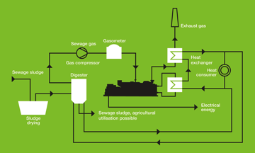 CHP and Renewable Fuels: A Cost-Effective Option for Long-Term ...