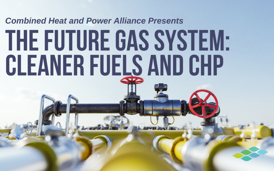 The Future Gas System: Cleaner Fuels and CHP